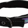 Hem & Boo Reflective Padded Collar Black -Pawfect Sales Store 0000256 reflective padded dog collar 550