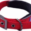 Hem & Boo Reflective Padded Collar Red -Pawfect Sales Store 0000257 reflective padded dog collar 550