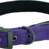 Hem & Boo Reflective Padded Collar Purple -Pawfect Sales Store 0000259 reflective padded dog collar 550
