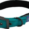 Hem & Boo Reflective Padded Collar Aqua -Pawfect Sales Store 0000260 reflective padded dog collar 550
