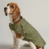 Joules Water Resistant Raincoat Olive Bee Print -Pawfect Sales Store 05585055860558705588LS2
