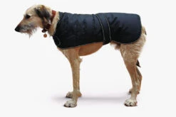 Front Page -Pawfect Sales Store 11111Harness Dog Coat with Dog