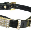 Hi-Craft Starlight Black Leather Dog Collar - 52cm -Pawfect Sales Store 12137