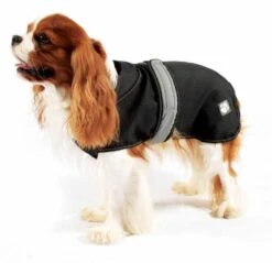 Danish Design 2 In 1 Black Four Seasons Waterproof Performance Dog Coat -Pawfect Sales Store 1231021854 BlackwithDog