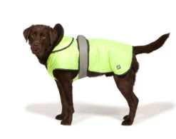 Danish Design 2 In 1 Hi Vis Waterproof Four Seasons Performance Dog Coat 7 Danish Design 2 In 1 Hi Vis Waterproof Four Seasons Performance Dog Coat -Pawfect Sales Store 1231024600 Hi ViswithDog