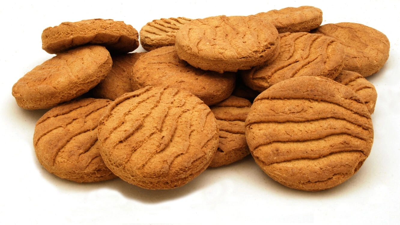 Pointer Ovalis High Protein Dog Biscuits 10kg 4 Pointer Ovalis High Protein Dog Biscuits 10kg - Image 2