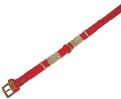 Hi-Craft Starlight Gold & Red Leather Dog Collar