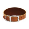 Ancol Heritage Tan Leather Greyhound Dog Collar - 34-43cm -Pawfect Sales Store 130000 3