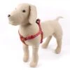 Great&Small Glow Reflective Bone Harness Red 1 Great&Small Glow Reflective Bone Harness Red -Pawfect Sales Store 15232