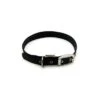 Great&Small Classic Buckle Collar Black -Pawfect Sales Store 15355GG02