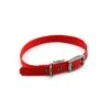 Great&Small Classic Buckle Collar Red 1 Great&Small Classic Buckle Collar Red -Pawfect Sales Store 15356GG02