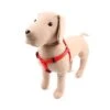 Great&Small Classic Plain Harness Red -Pawfect Sales Store 15432GG02