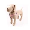 Great&Small Classic Plain Harness Pink -Pawfect Sales Store 15434GG02