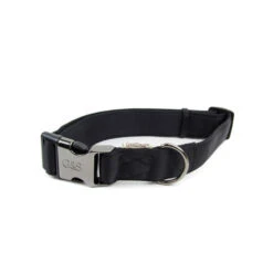 Great&Small Classic Cushion Collar Black