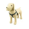 Great&Small Active Neoprene Harness Grey -Pawfect Sales Store 15696