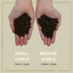 Eden 80/20 Puppy Cuisine Small Kibble -Pawfect Sales Store 197 puppy cuisine kibble size comparison