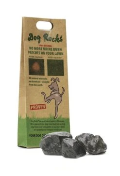 Dog Rocks Lawn Urine Burn Prevention