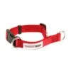 Great&Small Doodley Dog Red Collar Medium -Pawfect Sales Store 210390
