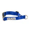 Great&Small Doodley Dogs Blue Plain Nylon Collar 1 Great&Small Doodley Dogs Blue Plain Nylon Collar -Pawfect Sales Store 210391