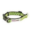Great&Small Doodley Dogs Green Ribbon Collar -Pawfect Sales Store 210398
