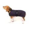 Great&Small Country Padded Blue Coat -Pawfect Sales Store 210659