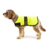 Great&Small Active Unlined Hi-Vis Coat -Pawfect Sales Store 210670
