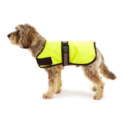 Great&Small Active Unlined Hi-Vis Coat