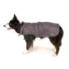 Great&Small Raincoat Grey/Purple -Pawfect Sales Store 210755