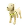 Great&Small Glow Hi-Vis Harness Yellow