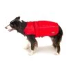 Great&Small Sports Coat Red -Pawfect Sales Store 211102
