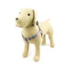 Great&Small Penrose Rose Harness 2 Great&Small Penrose Rose Harness -Pawfect Sales Store 211426