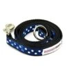 Great&Small Doodley Dogs Ribbon Nylon Lead Blue 1 Great&Small Doodley Dogs Ribbon Nylon Lead Blue -Pawfect Sales Store 211856