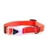 Great&Small Flashing Buckle With Reflective Collar -Pawfect Sales Store 211878