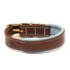 Great&Small Hawkhurst Leather Collar Padded Blue -Pawfect Sales Store 211908