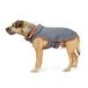 Great&Small Active Foldaway Raincoat 1 Great&Small Active Foldaway Raincoat -Pawfect Sales Store 211985