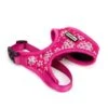 Great&Small Penrose Blossom Pink Mesh Harness 1 Great&Small Penrose Blossom Pink Mesh Harness -Pawfect Sales Store 212007