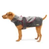 Great&Small Reflective Rainbow Raincoat Red Trim -Pawfect Sales Store 212098