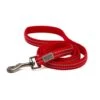 Great&Small Glow Lead Red -Pawfect Sales Store 212278