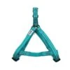 Great&Small Glow Harness Turquoise -Pawfect Sales Store 212303
