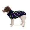 Great&Small Penrose Knit Sweater Lightning Bolt -Pawfect Sales Store 212547dog