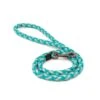 Great&Small Glow Lead Plait Turquoise -Pawfect Sales Store 212880 web