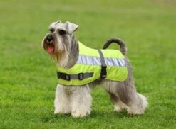 Petlife Flecta Yellow Hi Vis Water-Resistant Dog Jacket