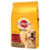 Pedigree Dry Vital Protection With Beef And Vegetable -Pawfect Sales Store 300625