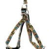 Envy Street Dog Harness Orange -Pawfect Sales Store 32089