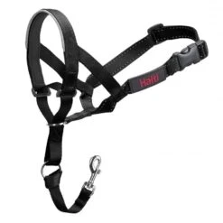 HALTI Black Headcollar -Pawfect Sales Store 357261