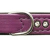 Nobby Double Back Swarovski Crystal Collar Lilac -Pawfect Sales Store 40242