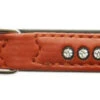 Nobby Double Back Swarovski Crystal Collar Terracotta -Pawfect Sales Store 40249