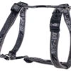 Rogz Armed Response Nylon Harness Silver Gecko 25mm -Pawfect Sales Store 46732