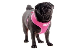 Ancol Viva Comfort Mesh Dog Harness Pink -Pawfect Sales Store 48945