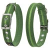 Oscar & Hooch Dog Collar Apple Green -Pawfect Sales Store 50234